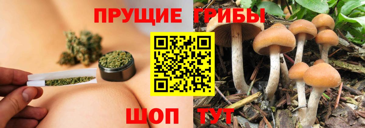 Галлюциногенные грибы прущие грибы  Вход с VPN  Новый Уренгой 