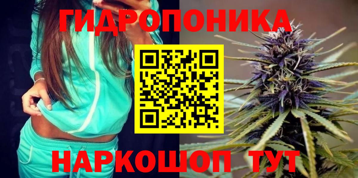 МАРИХУАНА OG Kush  Бошки Шишки White Widow  Вход с VPN  Бошки марихуана White Widow  Шишки марихуана VHQ  Новый Уренгой 