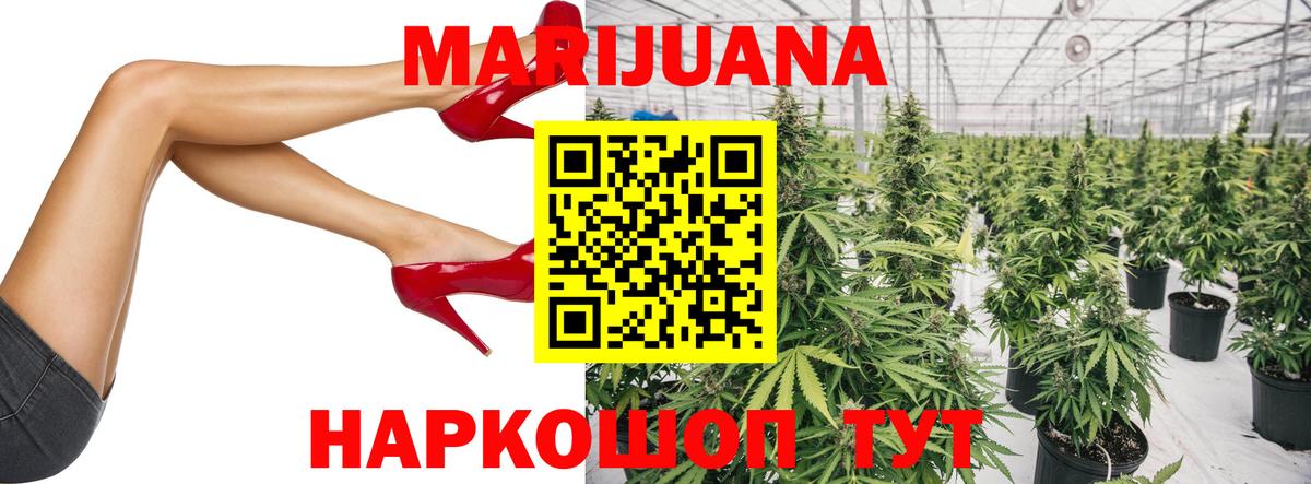 Марихуана гибрид Новый Уренгой